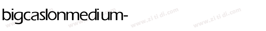 bigcaslon medium字体转换